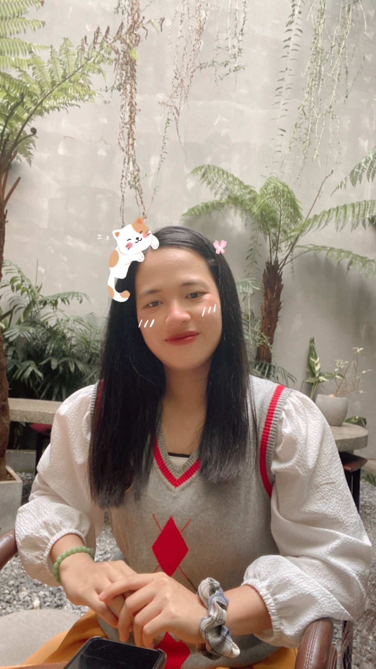 Nguyễn - Trần